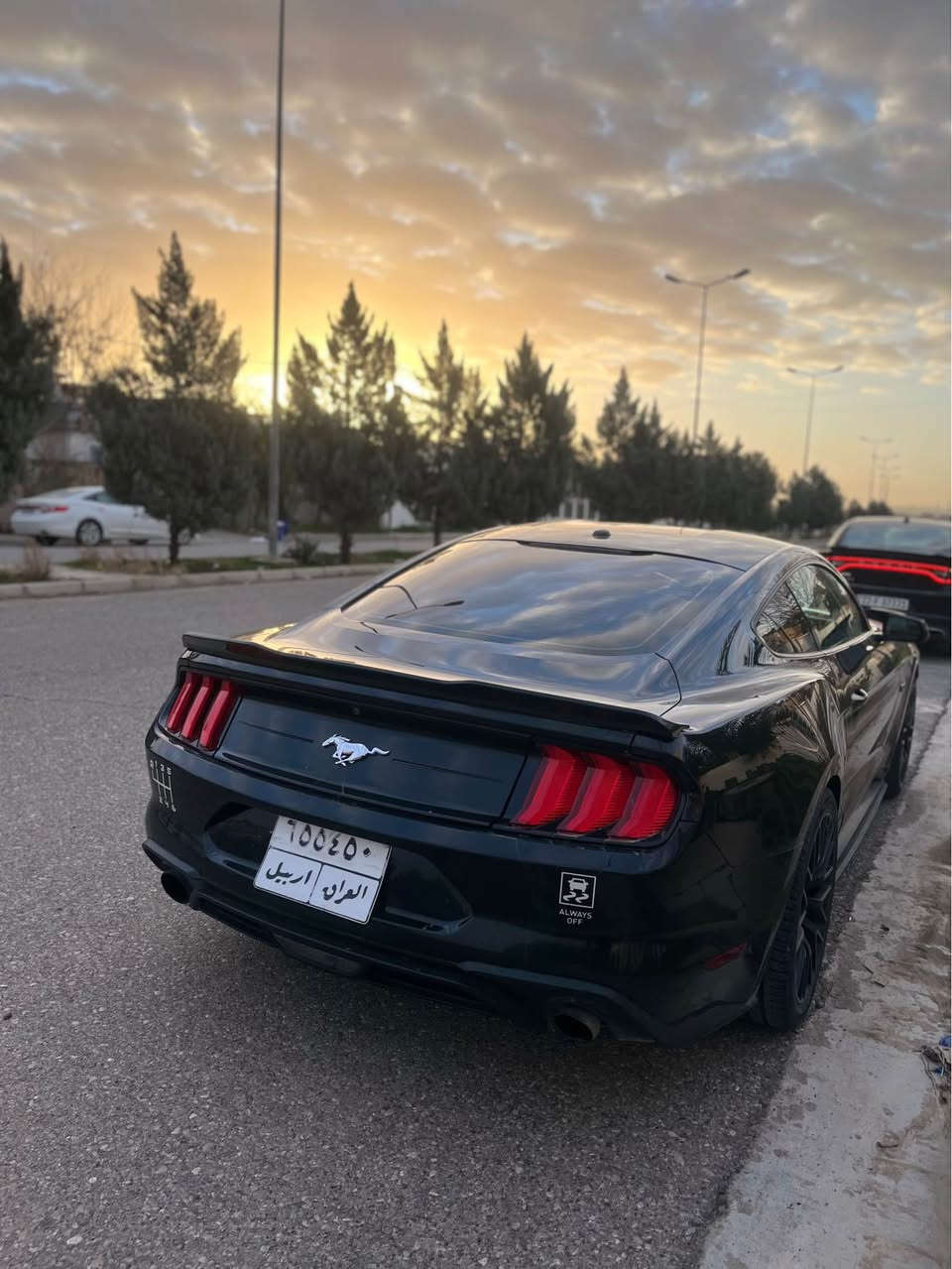 فورد موستنك للبيع موديل ٢٠١٩ 
ماشيه ٤٣الف
ضرر جاملغ وربع بنيد 
سياره كامل كت RTR
سياره كير عادي 
سعر ١٢٣ بيها مجال 
***********واتساب
*********** أربيل, العراق
