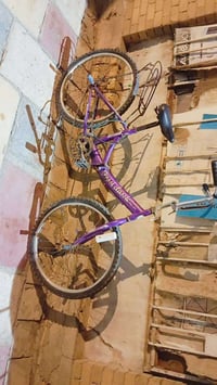 بايسكل • طباقه