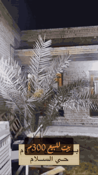 بيت للبيع 🏡حي السلام المربع الاول
300م بناء طابو طابقين بناء حديث
واجه12 ونزال 25
1-حمام خارجي
٢-كراج 
٣-حديقه
الطابق الاول❌
١-الاستقبال(7.5,5.5)
2-الصاله(4x8)
3-غرفه(4x5)
٤-غرفه(5x5) سويت❌
الطابق الثاني🔆
يحتوي على 3 غرف
وحمام 
للأستفسار :***********‼️📞
