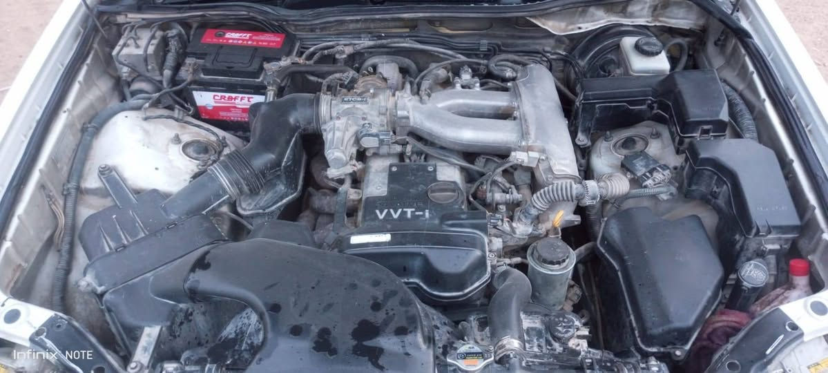 كصة قمارة فقط
جاهزة على اخر خباية حجزها يوم ١ بالشهر

٦٥ ورقه وبيهه مجال قليل مكاني نجف حي النداء

***********
