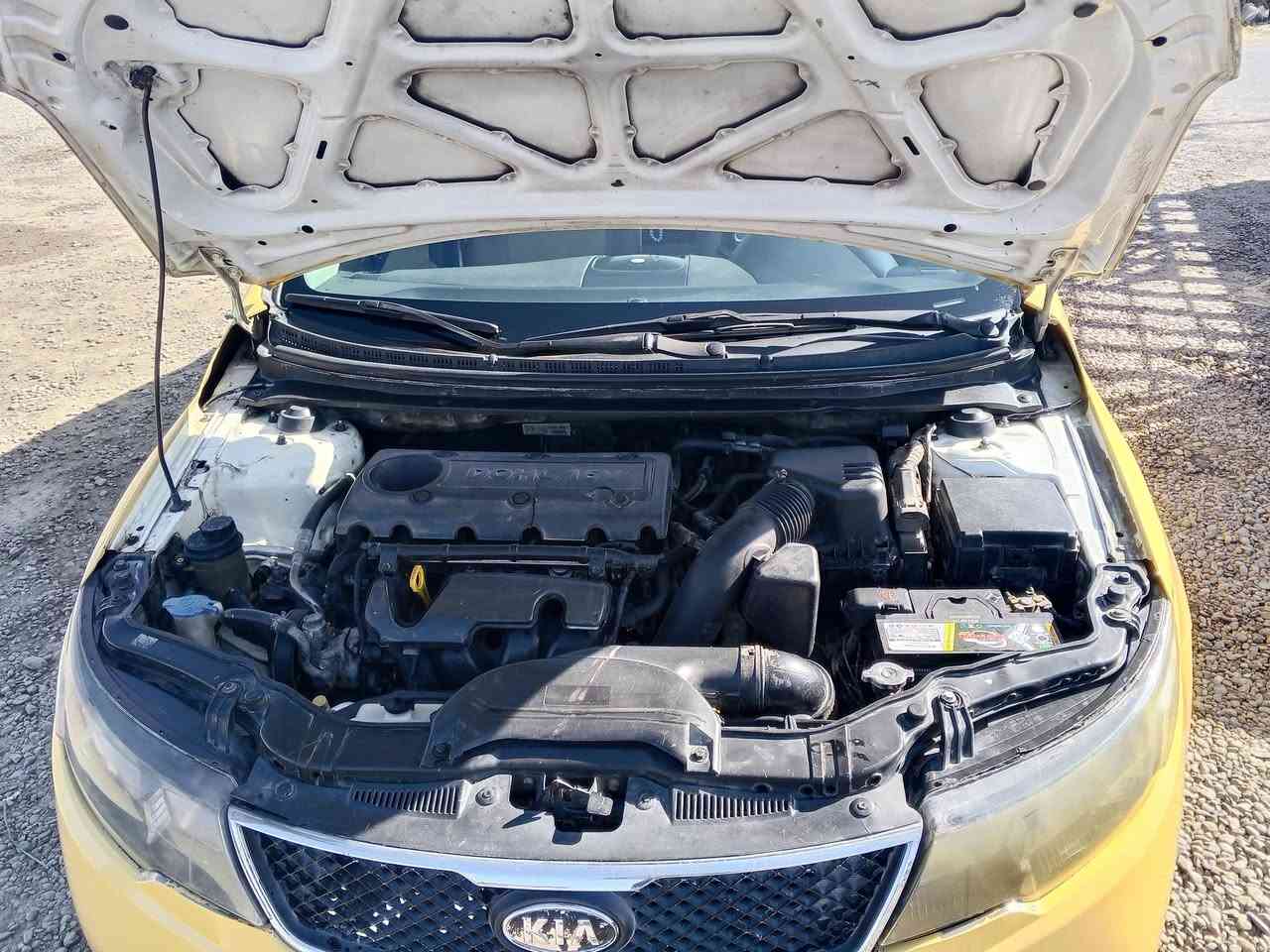 السلام عليكم كيا فورتي لبيع موديل 2011 وراد امريكي بدون تبديل ليبل واحد حادثها جاملغ امامي فقط سحطي سياره جاهزه الشارع  سنويه لغايه 2031 رقمها الجديد بغداد سياره الميكانيكي كله جاهزه تحويل مباشر الاستفسار اتصل على الرقم ***********
