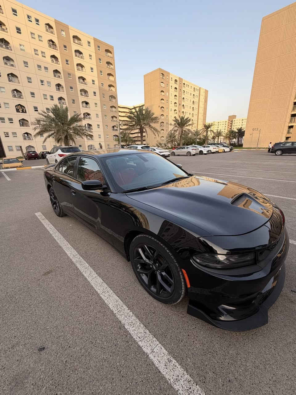 جارجر 2022
دوج جارجر 2022 /  ٦ سلندر

رقم اربيل بأسمي شخصيا 

 السيارة بدون ايرباك بجم كبس 

شاشة جبيرة تحكمات ستيرن مقاعد كهرباء

داخل جلد احمر ماشية 31 الف ميل 

السيارة جديدة واحلى من الصور مابيهة اي نقص صدر كهربائيات مكينة كير لغد شاصي مكفول شرط الفحص 

***********  بغداد
