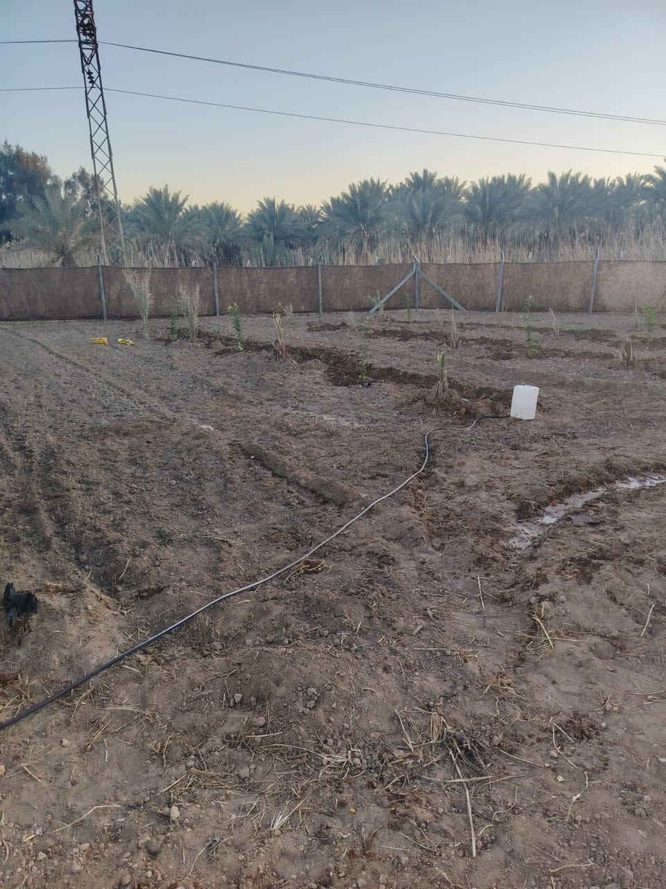 ارض للبيع في كربلاء سند 25 
مساحتها  500 متر
طابوا زراعي سند 25 كربلاء طريق بغداد عمود 168 تبعد عن الامام 8 كيلو تبليط كهرباء ماء اسالة
السعر ٣٥


**إذا كنت صاحب هذا الإعلان وتريد حذفه لأي سبب، رجاءا أرسل رسالة إلى الدعم الفني**