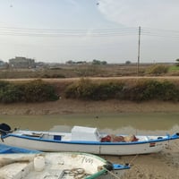 بلم • ٩م • ياماها ٤٠