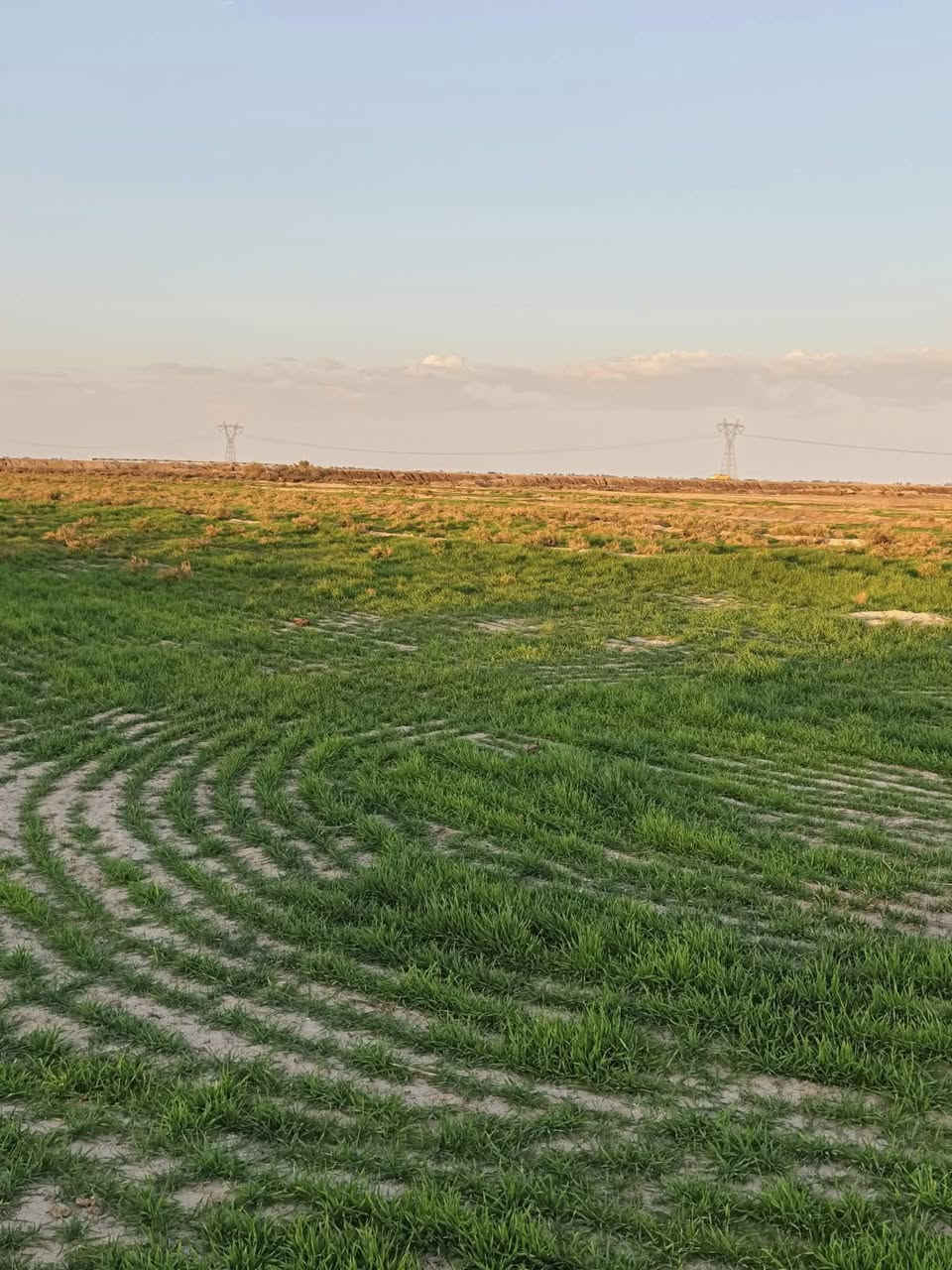 سفحه البيع 32دونم على طريق سيد محمد عكيل قرب حسينيه الفواطم  عله الشارع العام  التواصل عله الرقم فقط. *********** /***********
