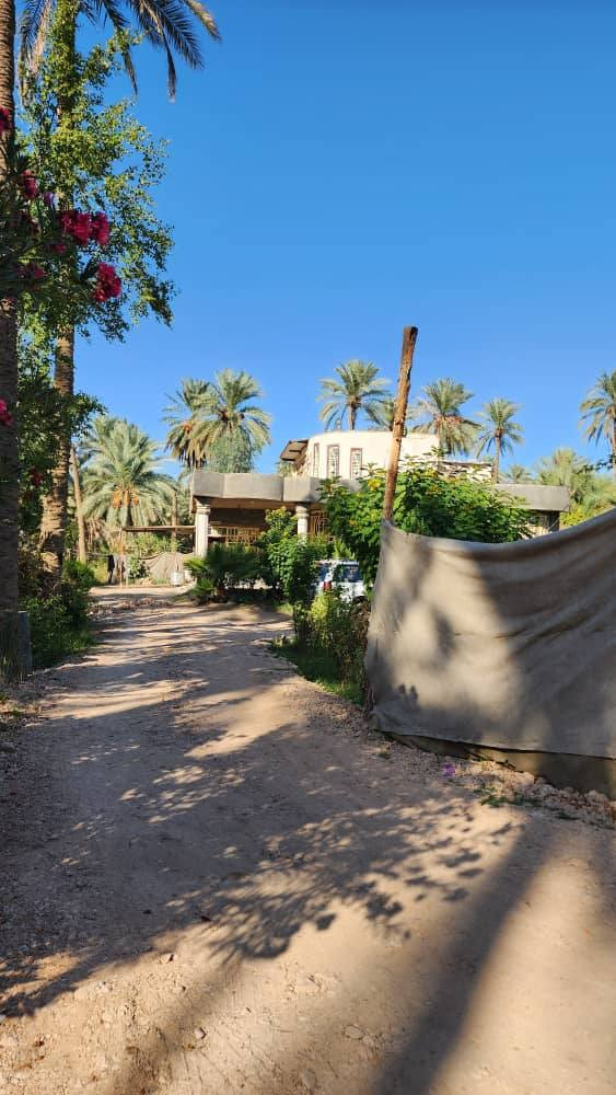 السلام عليكم بستان للبيع في كربلاء المقدسة الإبراهيمية واجه88 م نزال 45 م
معا بيت بناء طابوق مسلح 200 م
وبقطعتين مدفونة 200 ب200
ومع حديقة 60 م
 عدد نخلة 70حمال ونشو 
حمضيات مشمش وكوجه ونارنج ورمان وسفرجل وزيتون وتفاح وتكي وتين ولنك الدنيا
معا أشجار حمضيات 
سعر650ميليوان وبي مجال
 طابو زراعي سند25
 الاتصال علي ***********
