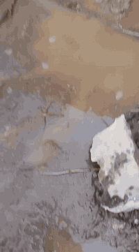 سلام عليكم احمي صطحك من مياه الامطار ورطوبه قبل الامطار القويه كادرنا تطبيك شتايكر تزفيت إعادة ماستك روف كات قلع الاشتايكر المتكسر او الفاطر او الخاسف واعاده باسعار مناسبه ***********
