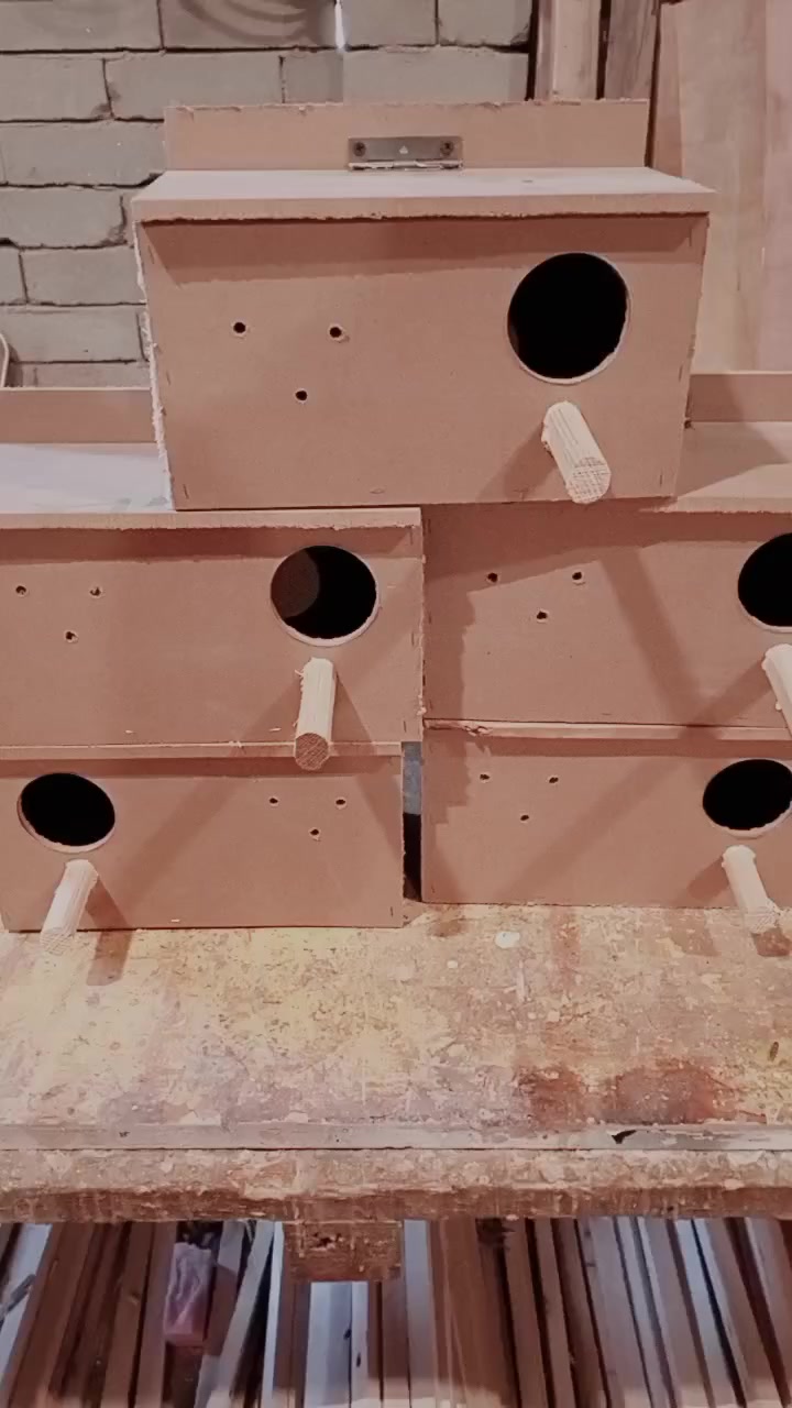 اقفاص بلابل بأشكال مختلفه واسعار مختلفه وبيوت طيور حب وفناجس وغندوره وكل انواع الطيور حياكم الله تواصل ع الخاص او واتس اب ***********
