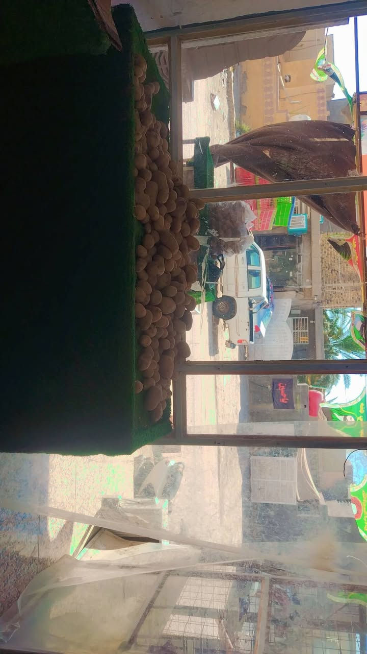 السلام عليكم
🍇🍉🍇🍉🍇🍉🍇🍉🍇
محل مخضر كامل مكمل(شغال) للبيع لعدم التفرغ يحتوي 
1-ميوزه حديد مغلفه ثيل
2-مرايه جام على طول المحل
3-سبلت جديد 2 طن
4-اناره كامله مع ميزان
5-ميز خارجي مدرج ايضا مغلف ثيل
6- خط مولده فعال 2 امبير
7-مبرده عقرب جديده
علما ان الايجار 75 الف فقط
الي يحب ادزله صور للمحل او يشرفنا يشوفه بنفسه
الموقع،شارع الشريط
هـ ***********
