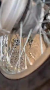 اوراق • موديل 2020