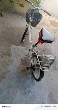 بسكليت ياباني • دينمو • جير