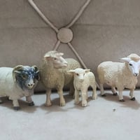 شلايش • متوفر