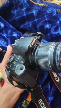 كاميرا كانون الاصليه الباب الأول  عدستها أم الفلتر. سعرها 300وبيها مجا...