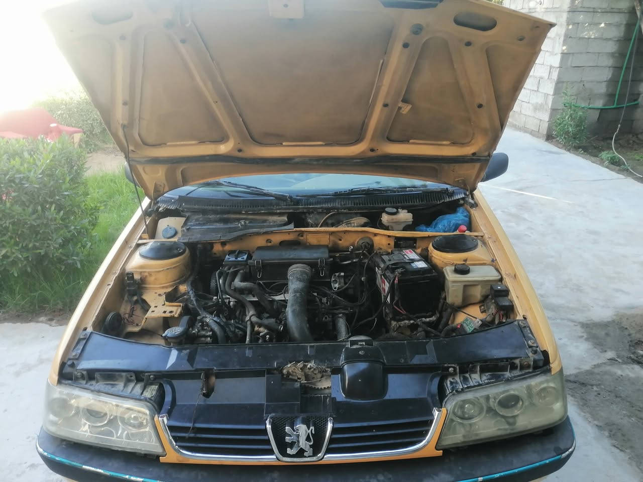 بيجو 405
سعرها 30
رقم نجف سنوية منتهية 24
وكالة عامة بسمي باركوت 
محرك مجفت جديد كير نضيف تخم اطارات جديد 
***********
ابو عباس بغداد جسر ديالى القديم
