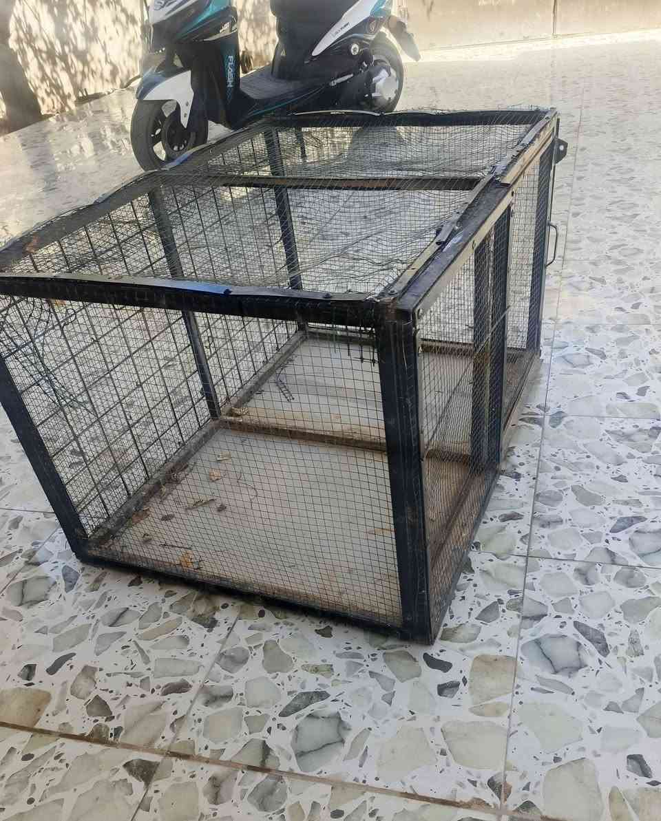 قفص للبيع سعر 20


**إذا كنت صاحب هذا الإعلان وتريد حذفه لأي سبب، رجاءا أرسل رسالة إلى الدعم الفني**