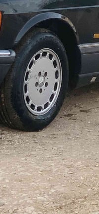 تخم ويل • مراوس بويل • جامبو