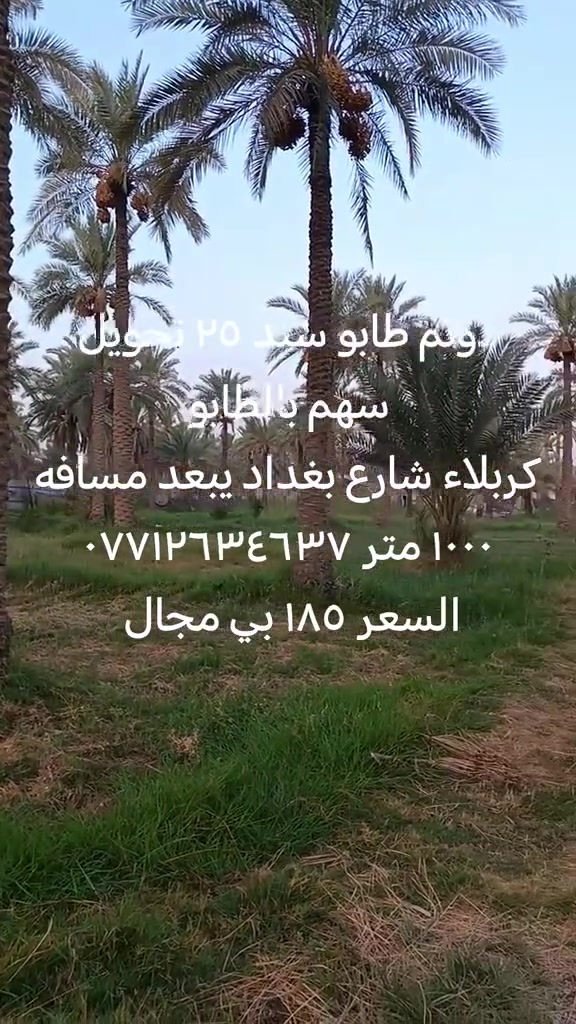 ملاحظة تم تنزيل السعر من ١٨٥ ال ١٥٠ مليون لوجود ضرف
العنوان كربلاء منطقه الامام عون شارع الخطاطبه ***********

