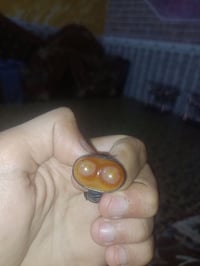 سليماني • سنامل • الجمل