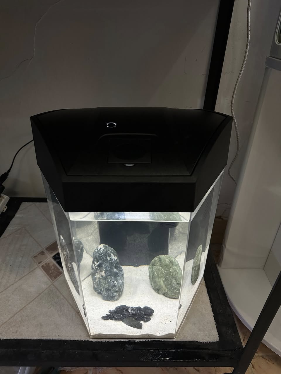 نرخی بۆتە ٤٠ ھەزار .. داشكانی بۆ كراوە
حەوزی شەریكەی ئاركلیك بە شێوەی شەش پاڵوو
فلتەری شەلالی لەگەڵە 
ئۆكسجینیش دابین دەكات
لیدی شەریكەی خۆی لەگەڵە بە شێوەی لەمس  زیاد لە ٧ ڕەنگی تیایە
وە مۆدی گۆڕینی ئۆتۆماتیكی تێدایە ڕەنگەكانی
٢  بەردی ڕاقی و تایبەتی لەگەلە
شوێن خواردنی بۆ كراوە بۆ ماسیەكان
بنی لمێكی سپی جوانی لەگەلە
 پشتی باگراوندی ڕەشی لێدراوە
قیاسی بەرزی ٤٠ سم وە تیرە بۆ تیرە ٣٢ سم
تێبینی : حەوزەكە ئەورووپی بەكارهاتووە
_______
ئەوەی ویستی نامە بنێرێت لە واتس ئەپ یا ڤایبەر 
***********
گەیاندنمان تەنھا بۆ ناو سلێمانی ھەیە
