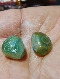 زوج سليماني أخضر • نوادر • بصرة