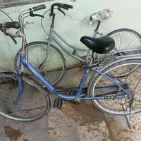 عبد الحليم • مقاس 26 • قابل تفاوض