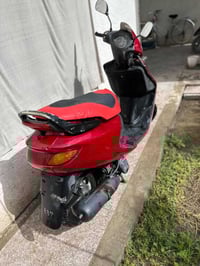 فراشه فحل • مامفتوح • بيه مجال