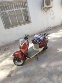شغالة • ماكو صوت • 225