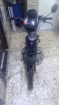 قوة الليث • حجم ٢٠ • حلة شارع ٨٠