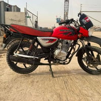 بوكسر • فحل • ستوته