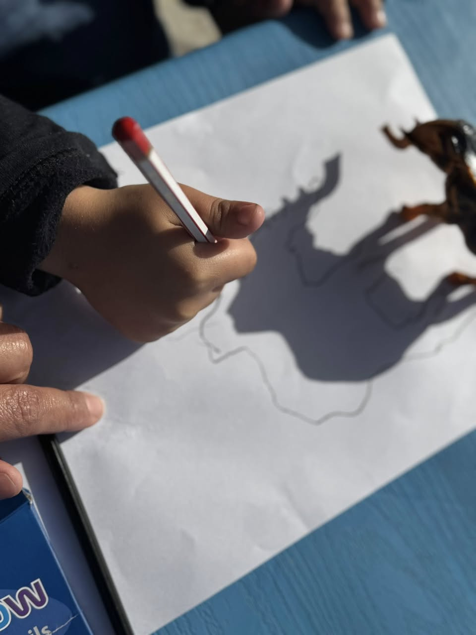 🧠قبل ان يتكلم يجب ان يفهم!بناء"اللغة الاستقبالية " لطفل التوحد#
كثير من الأهالي يسألون"متى سيتكلم طفلي؟" ولكن السؤال الأهم هو :هل يفهم طفلي ما أقوله؟"🧐
اللغة الاستقبالية هي " المخزن"  الذي يبنيه الطفل ؛ فإذا امتلأ. هذا المخزن بالفهم،فاض بالكلمات لاحقا. في جلساتنا، نركز على تحويل الكلمات المجردة إلى مفاهيم ملموسة.
🛠️كيف نطور اللغة الاستقبالية ( كما تظهر في الصورة)؟
1.الربط بين الكلمة والمجسم(Matchjng):
نستخدم البطاقات الملونة ( ازرق- اصفر- احمر)
لتعليم الطفل تمييز الألوان. عندما أقول " أعطني الأزرق" ويختاره الطفل فهذا يعني ان الدماغ بدأ يربط الرمز الصوتي بالصورة البصرية
2. تنفيذ الأوامر البسيطة(Following Commands):
من خلال الأنشطة الحركية مثل " امسك القلم " او " ضع المكعب" تدرب الطفل على فك تشفير الجمل وتحويلها إلى فعل ملموس
3.المساعدة الجسدية ثم التلاشي: 
في البداية قد تساعد الطفل " يدا بيد"( كما في الصور) ليعرف المسار الصحيح ثم نسحب يدانا تدريجياً حتى يستجيب للطلب اللفظي وحده 
4. تقليل المشتتات: 
لاحظوا بيئة العمل ، هادئة ومنظمة لتساعد الطفل على التركيز فقط على المثير السمعي والبصري الذي نقدمه له . 
تذكروا دائما
اللغة الاستقبالية  هي الجسر الذي يربط عالمنا بعالمهم، كلما كان الجسر قوياً كان التواصل اسهل وأسرع✨✨

كل الحب لإيطاليا الصغار ولعائلاتهم الصابرة❤️🙌
طيف التوحد#اللغة الاستقبالية # تأهيل# تخاطب# توعية # تدخل مبكر# نطق وتواصل

معهد تنمية الطفولة 
(جلسات فردية):
العنوان البنوك/ شارع التربية 
هناك جلسات مجانية للطفل اول يومين 
الدوام من الاحد للخميس 
يوجد خطوط نقل:
للحجز والتسجيل 📞***********
