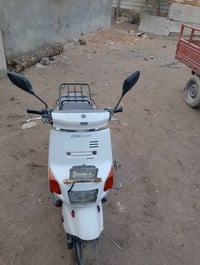 دراجة بيكم • بيه مجال • البصرة شط العرب