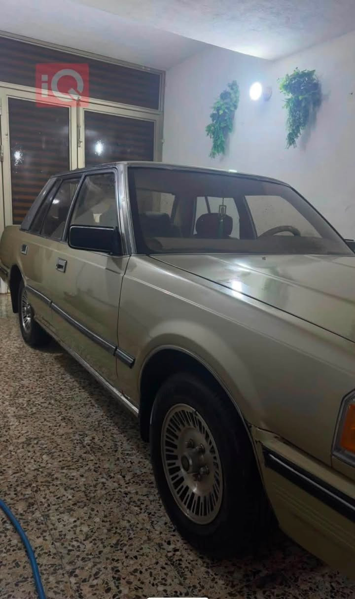 سلام عليكم ورحمة
سوبر 1986 3000مكينه vvi 
سياره جاهزه مجهزه من كلشي رقم كربلاء مميز 4أرقام (7010)مشروع وطني سنويه 2029مداور ثاني يوم وبسمي مباشر. 
تبريد ثلج ويه السويج 
 تخم تاير 
وحداديه 100‎%‎ 
كفاله من ضربه والكص 
مصبوغ الجماليه فقط 
مكان السياره :البصره .الطويسه 
الاستفسار :***********
