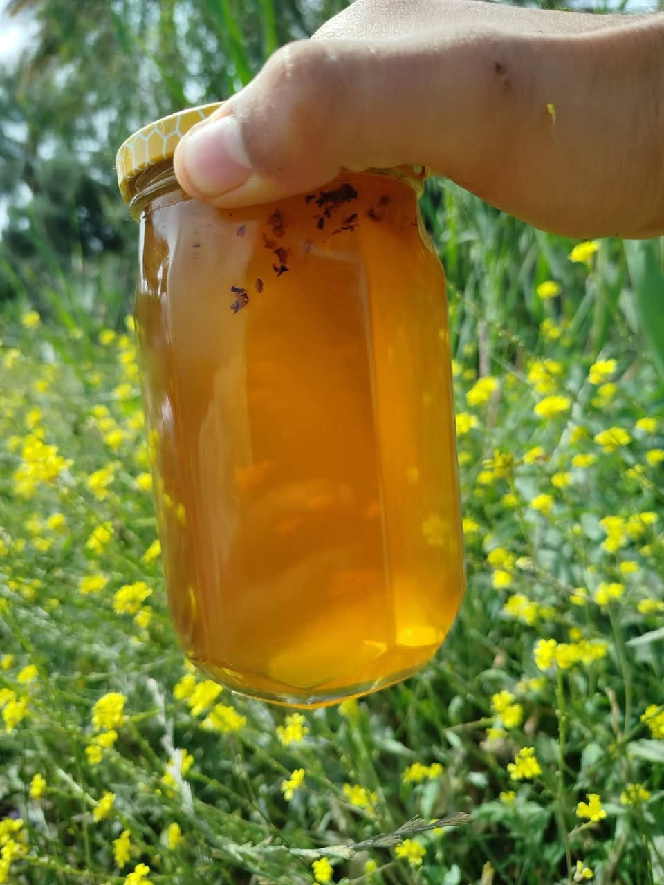 عسل طبيعي 100%
السلام عليكم، متوفر لدينا عسل طبيعي ان شاء الله
ومن داخل مناحلي سعر الكيلو 45 الف 
العنوان الاعظميه او يمكنك التواصل على الخاص لغرض التفاصيل


**إذا كنت صاحب هذا الإعلان وتريد حذفه لأي سبب، رجاءا أرسل رسالة إلى الدعم الفني**