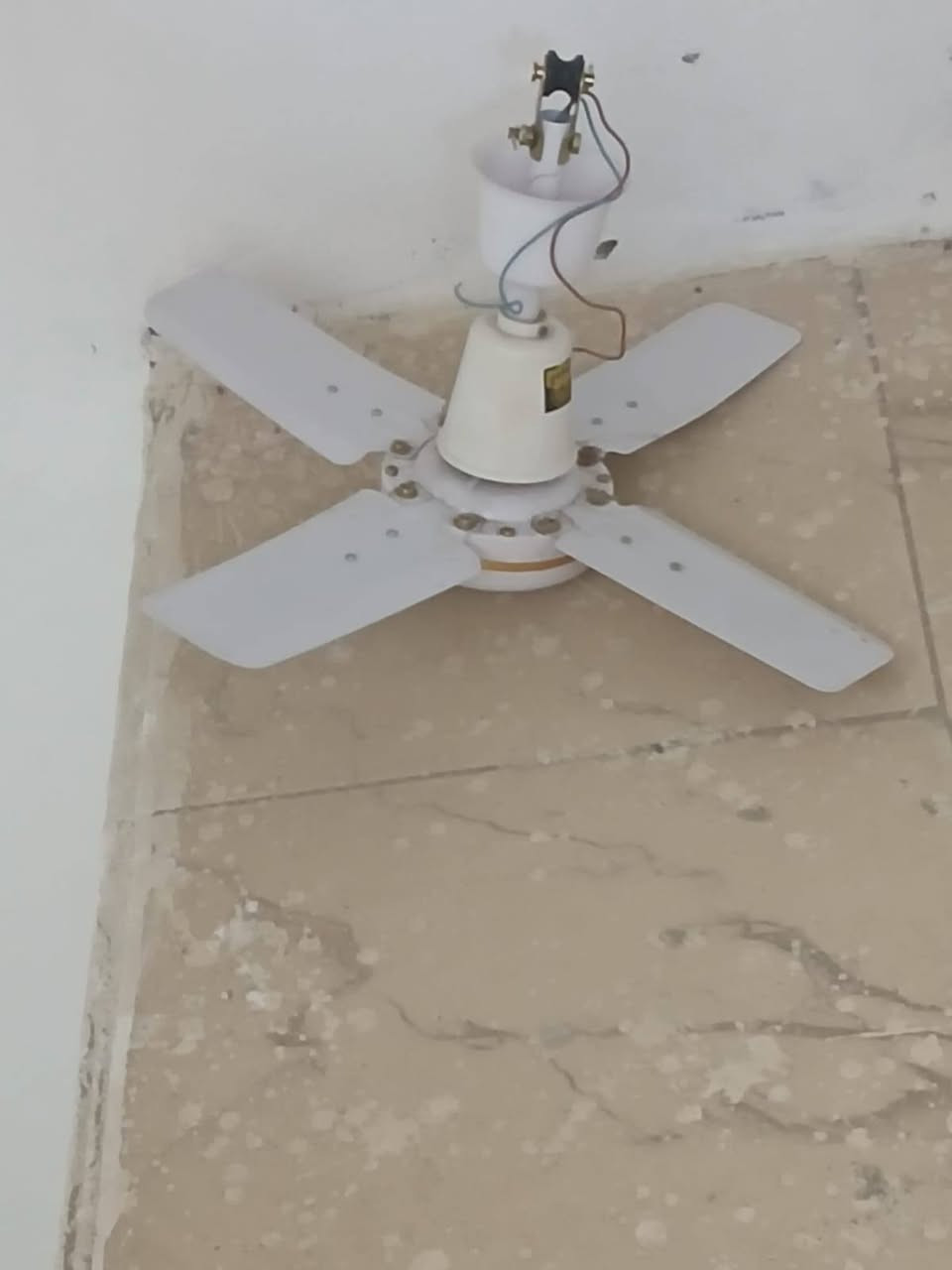 مروحه حجم صغير ومبرده السعر 90 الف


**إذا كنت صاحب هذا الإعلان وتريد حذفه لأي سبب، رجاءا أرسل رسالة إلى الدعم الفني**