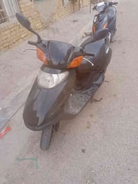 مواليدي • نظيفه • كوت