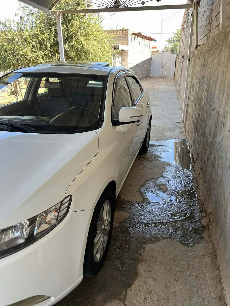 سلام عليكم
كيا سيراتو موديل 2013فول مواصفات للخير مكينه جديده كير جديد تخم تاير حداديه كله جديد السياره بسم كردي السياره بيعه مكانات صبغ السعر 85اوبيهه مجال المكان ديوانية مهناويه ***********
