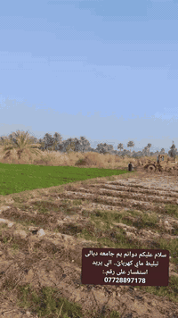 دوام جامعة ديالى • سباكة كهرباء تبليط • بعقوبه