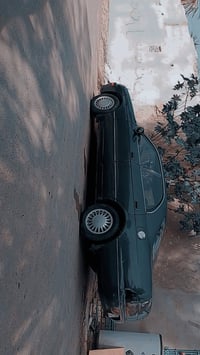 مراوس • سمند خصوصي • بيجو