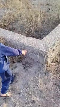 ارض زراعي200متر في الحميديه شارع الطاقه يم ساده طواي او تريد من عدها 1...