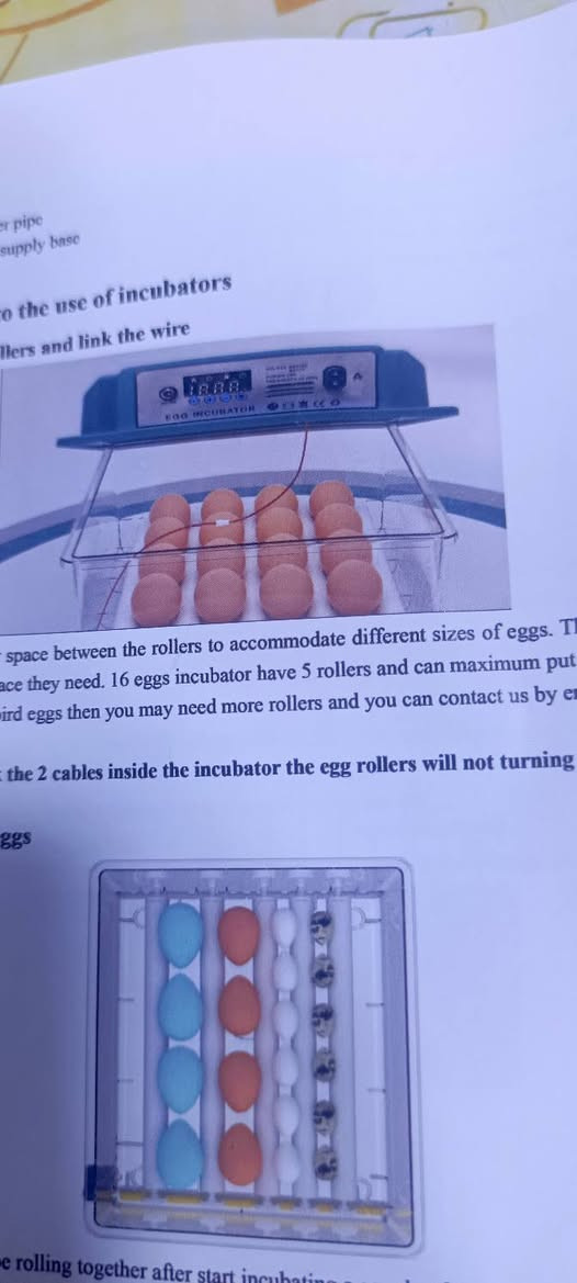 حاضنة بيض أوتوماتيكية بالكامل، مصممة لتفقيس مختلف أنواع بيض الدواجن والطيور مثل الدجاج، البط، والسمان. 
إليك أبرز مواصفاته ومميزاته:
السعة: يمكنها استيعاب ما بين 12 إلى 16 بيضة، اعتمادًا على حجم البيض. 
التحكم الرقمي: تحتوي على شاشة LED لعرض والتحكم في درجة الحرارة والرطوبة بدقة. 
تقليب تلقائي: تقوم بقلب البيض تلقائيًا لضمان التوزيع المتساوي للحرارة وزيادة نسبة الفقس. 
طاقة مزدوجة: تعمل بالكهرباء المنزلية، ويمكن توصيلها ببطارية 12 فولت في حال انقطاع التيار الكهربائي. 
إضافة مياه خارجية: مزودة بفتحات لإضافة الماء لضبط الرطوبة دون الحاجة لفتح الحاضنة. 

السعر 60 الف شامل اجور التوصيل لجميع المحافظات


**إذا كنت صاحب هذا الإعلان وتريد حذفه لأي سبب، رجاءا أرسل رسالة إلى الدعم الفني**