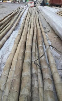 ٣٠ خيزرانة • ٤ أمتار • الطابو