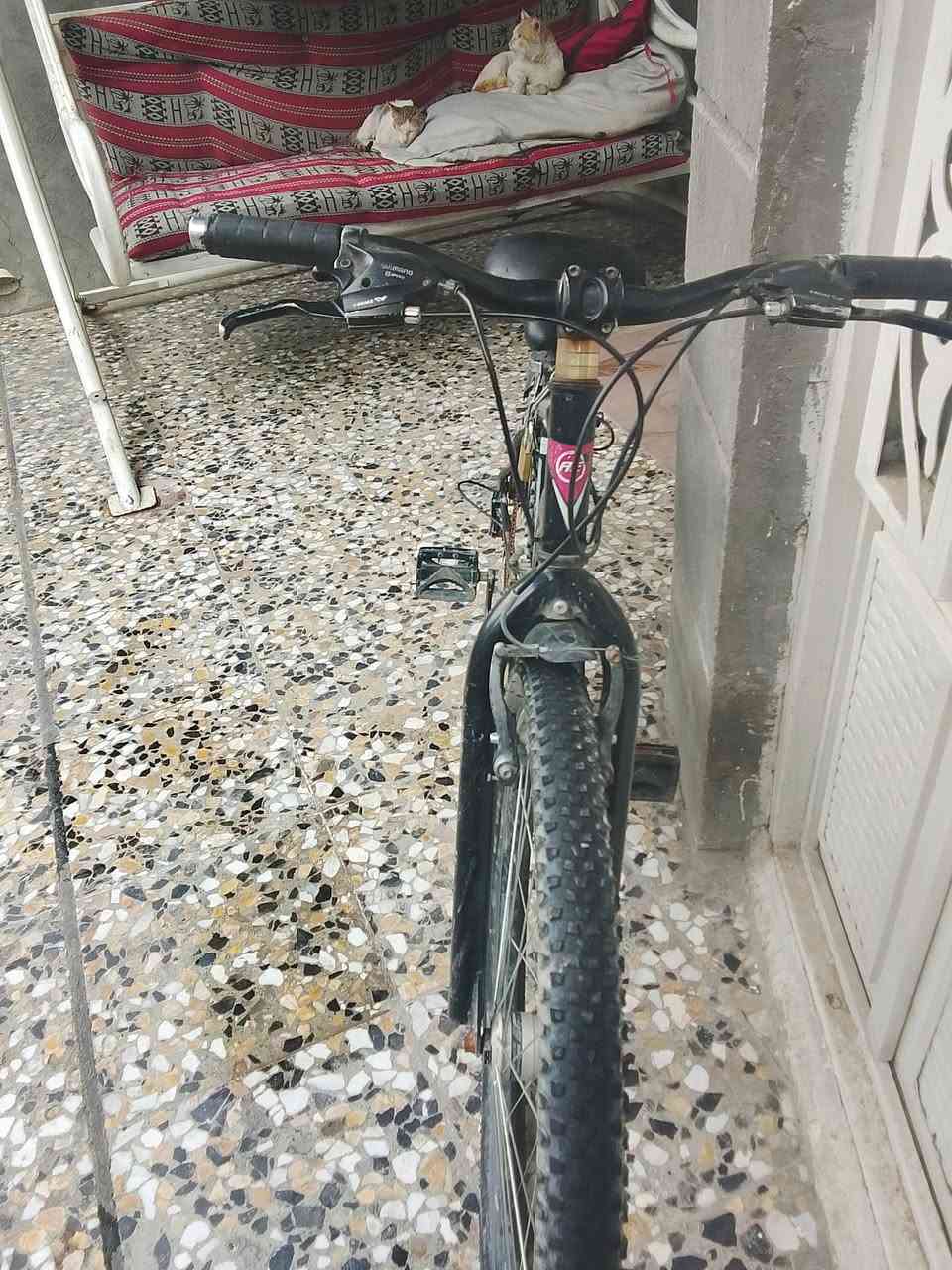 بايسكل امريكي نضيف حجم 29  سعرة 150 او مراوس بلابتوب  سبب البيع محتاج لابتوب للدراسة


**إذا كنت صاحب هذا الإعلان وتريد حذفه لأي سبب، رجاءا أرسل رسالة إلى الدعم الفني**