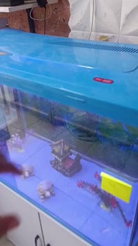 حوض اسماك • ٨٠ب١٥٠ • مع ميز