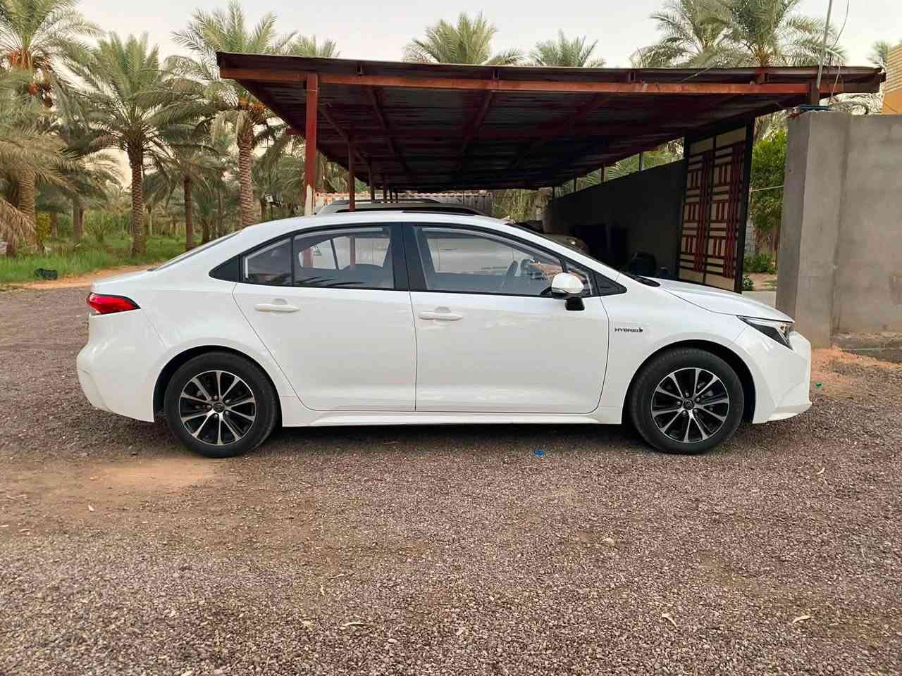 موقعي كربلاء /الهندية / الجدول الغربي
تفاصيل السيارة 
نوع السيارة :كورلا هايبرد 2024
محرك بانزين 1800
فتحة سقف
كرسي كهرباء
نظام ترحيب
بصمة ابواب
شاشة
مقاعد جلد
رقم بغداد ب اسمي السيارة 
السيارة مكفولة بالكامل (شاصي -مكينة-كير- كشر بالكامل)
نوع الدهن :ميتاسو 0/16 لكل 8000km
(ابدله قبل موعده)كنوع من العناية بالسيارة
بانزين محسن فقط كنوع من العناية بالسيارة
عداد المشي 45000km

ضرر السيارة(فقط طخة بسيطة في باب الجنطة فقط لا غير مستثنى من ذلك الدعاميات فقط الدعاميات يوجد فيهم طخات بسيطة)اما غير ذلك لا يوجد أي ضرر واتحمل المسؤولية 
الي يحب يستفسر ***********
