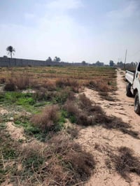 قطعه الأرض للبيع المساحه 3 دوانم الاستفسار على هاذ رقم 07826250772