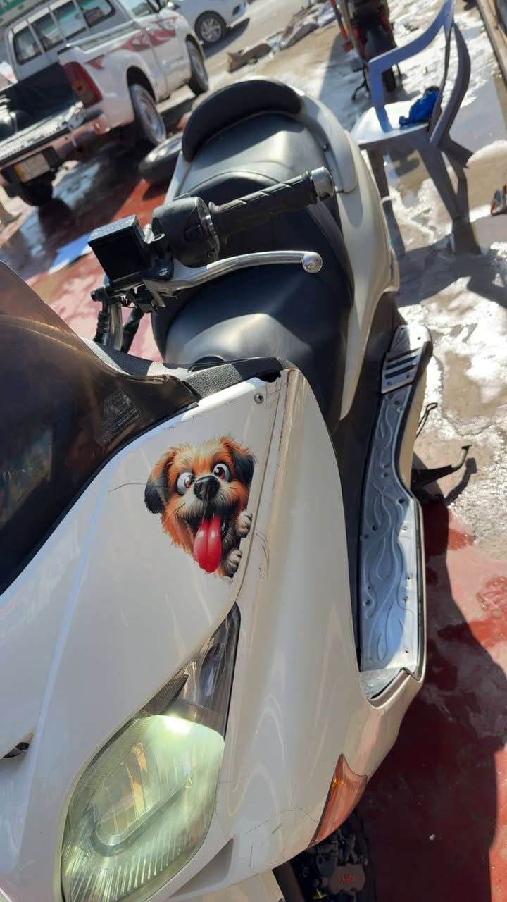 للبيع فورصة 08 دراجة خير من الله ماشية 40الكفرات الورة مصبوغة اثر شغوط سعر مليون او مراوس بموبايل ***********
