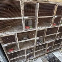 خانات ٩ خشب ثقيل خانة جبيرة متر ونزال ٨٥ الخانة الوحدة سعر ٥٠ رقم الها...