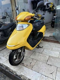 سبيسي • ضمان • أصفر