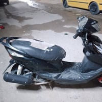 دراجة ثعلب • بغداد