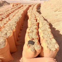 تبن • فول • سامراء